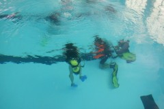 DSCF1223