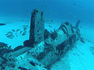Florida Scuba Diving Trip