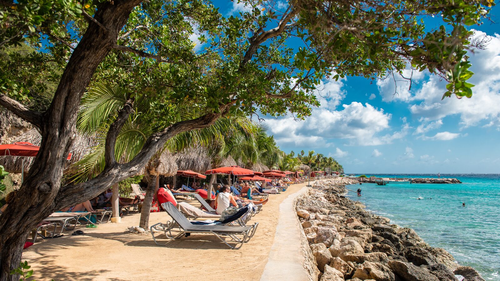 Relax by the sea Coral_Estate