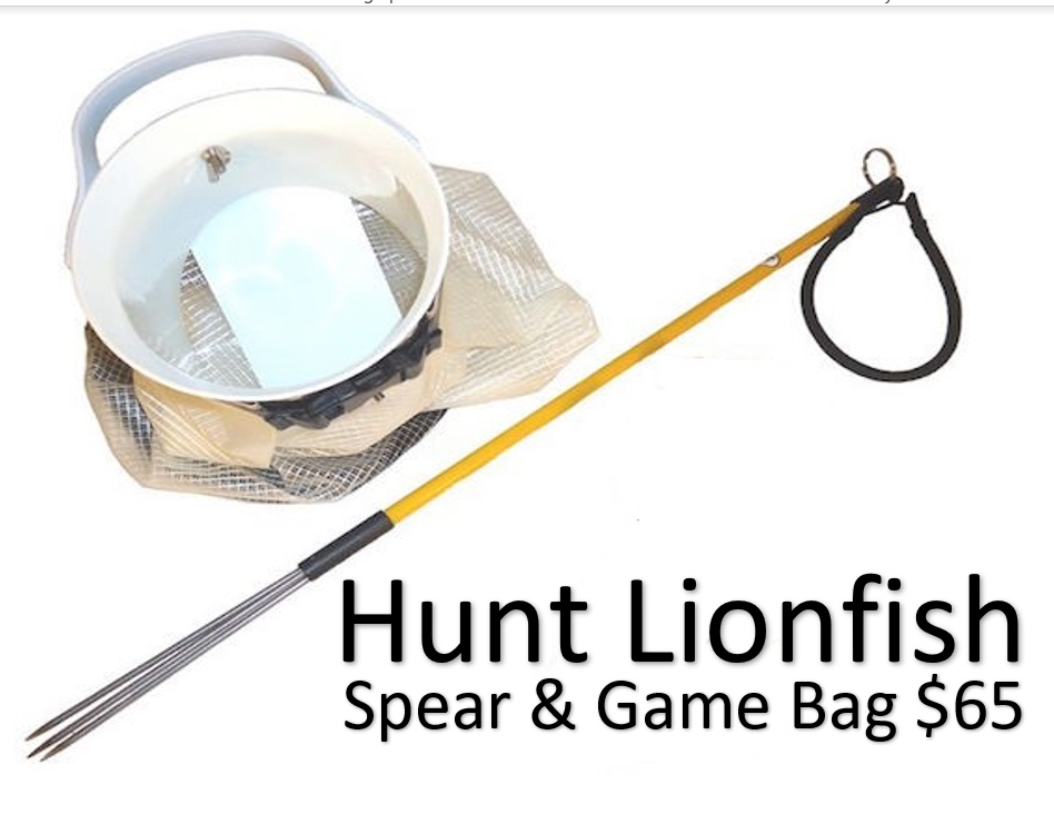 lionfish_hunt_gear$65-fro-web