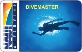 dive+master