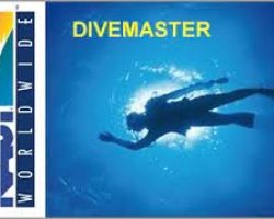 dive+master