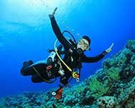 Music City Scuba Diver Wings Out