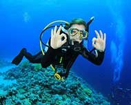 Scuba Diver OK