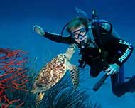 Diver with Sea Turtle